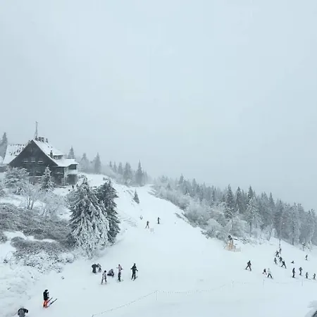 Dom wakacyjny Pod Wojkową *