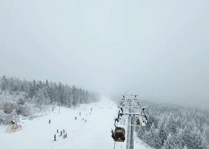 Pod Wojkową Dom wakacyjny *